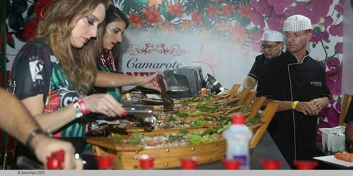 São Paulo Carnival Tickets in High Level Box with included Shuttle, Guide, Food and Drink in a Small Group