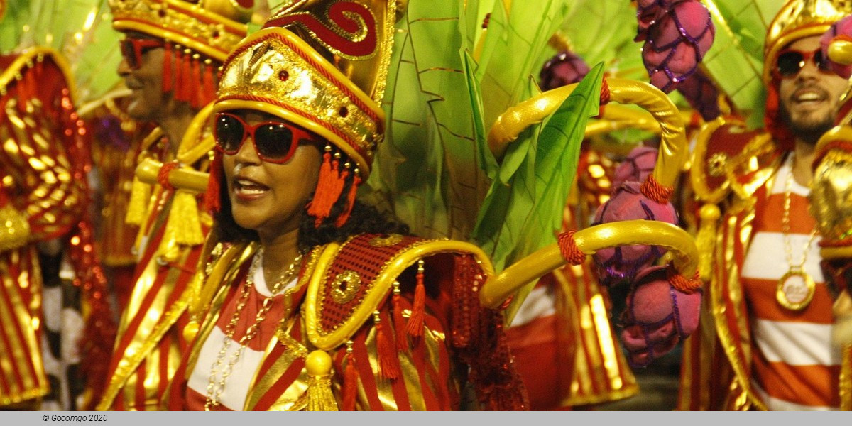Amazing Rio de Janeiro Carnival Parade: Ticket with Optional Transfer