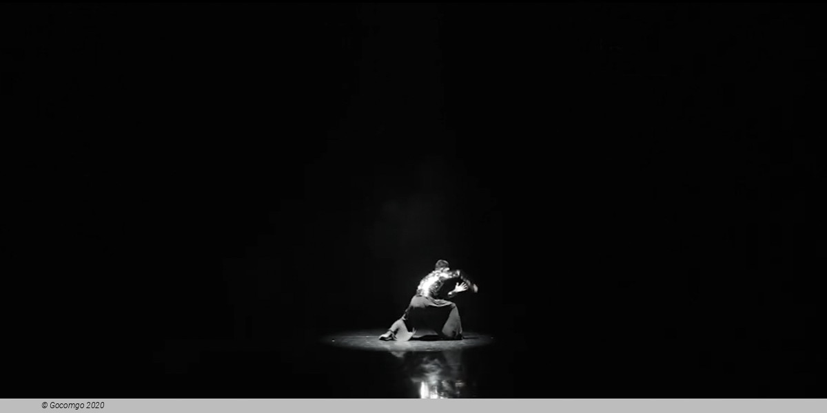 Nomad Ballet  "Four Truths – One Eternity", photo 4