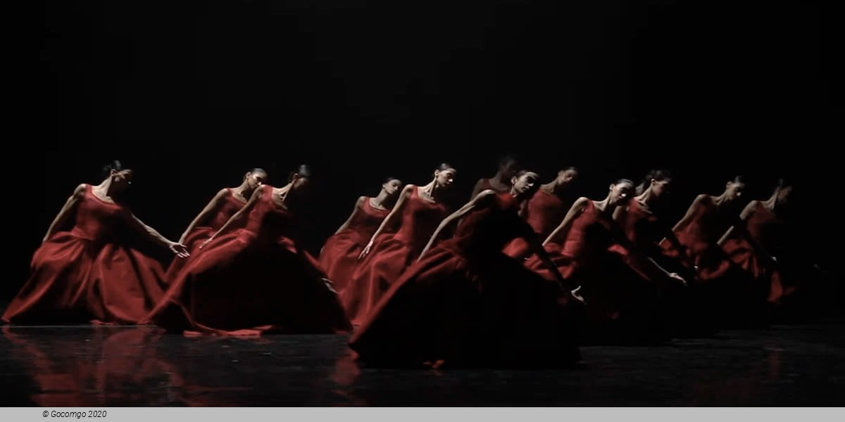 Dance for Life 35th Anniversary, photo 3