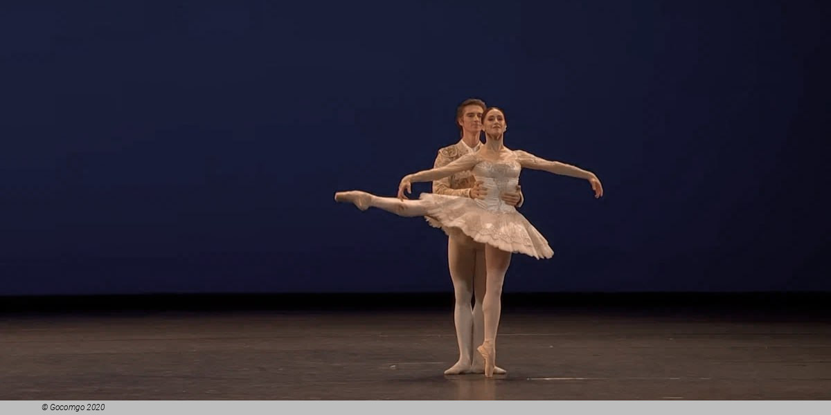 Dance for Life 35th Anniversary, photo 4