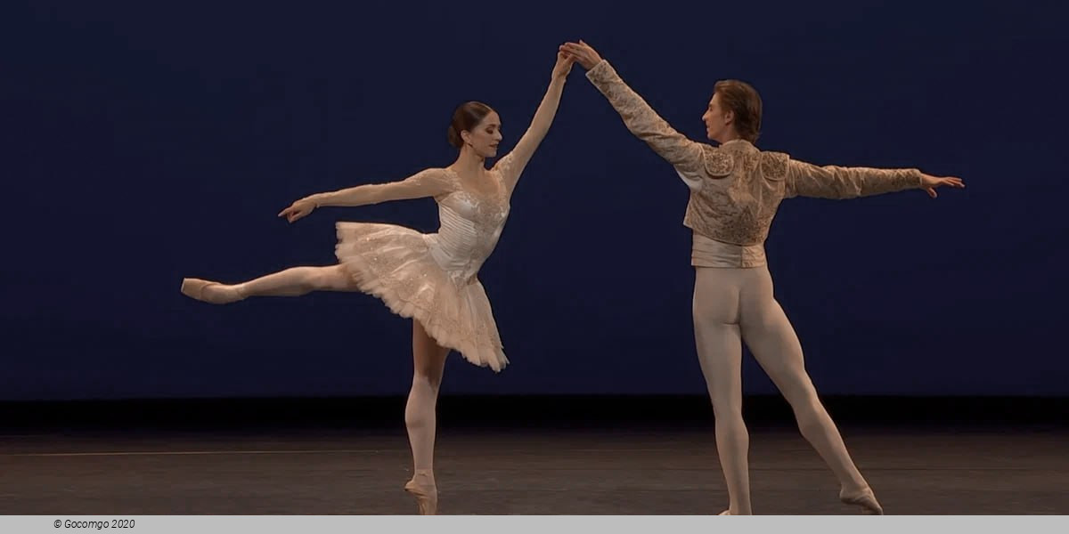 Dance for Life 35th Anniversary, photo 5
