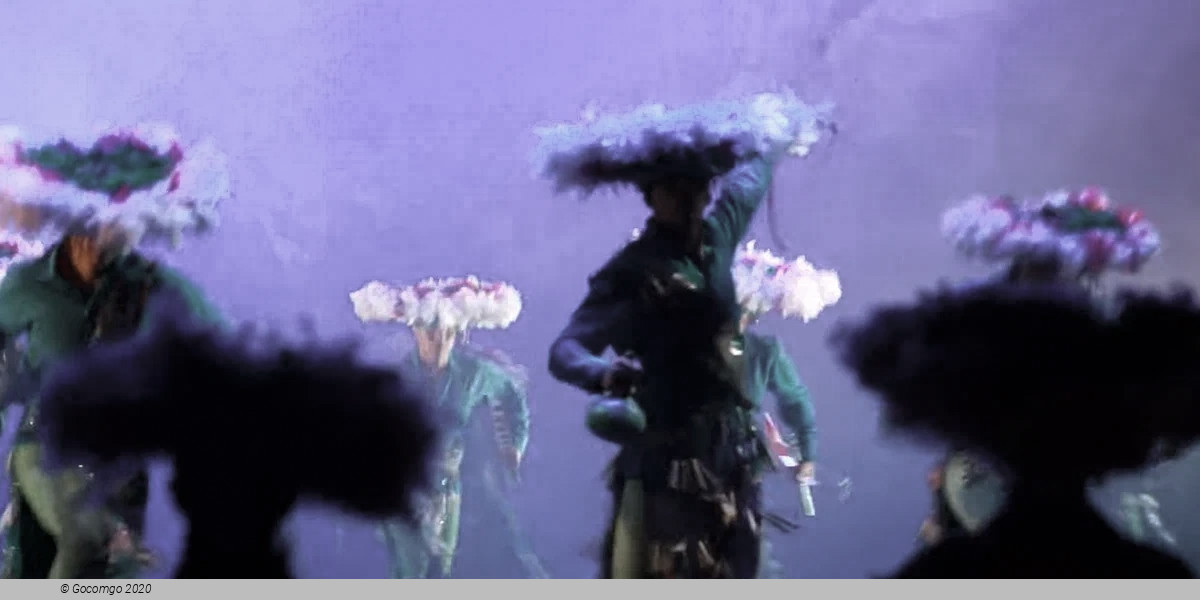 Ballet Folklórico de México de Amalia Hernández, photo 3
