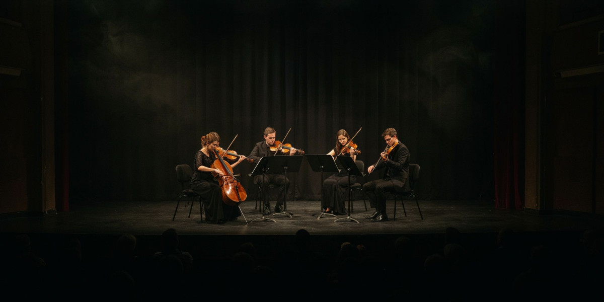 Karelia Quartet, photo 1
