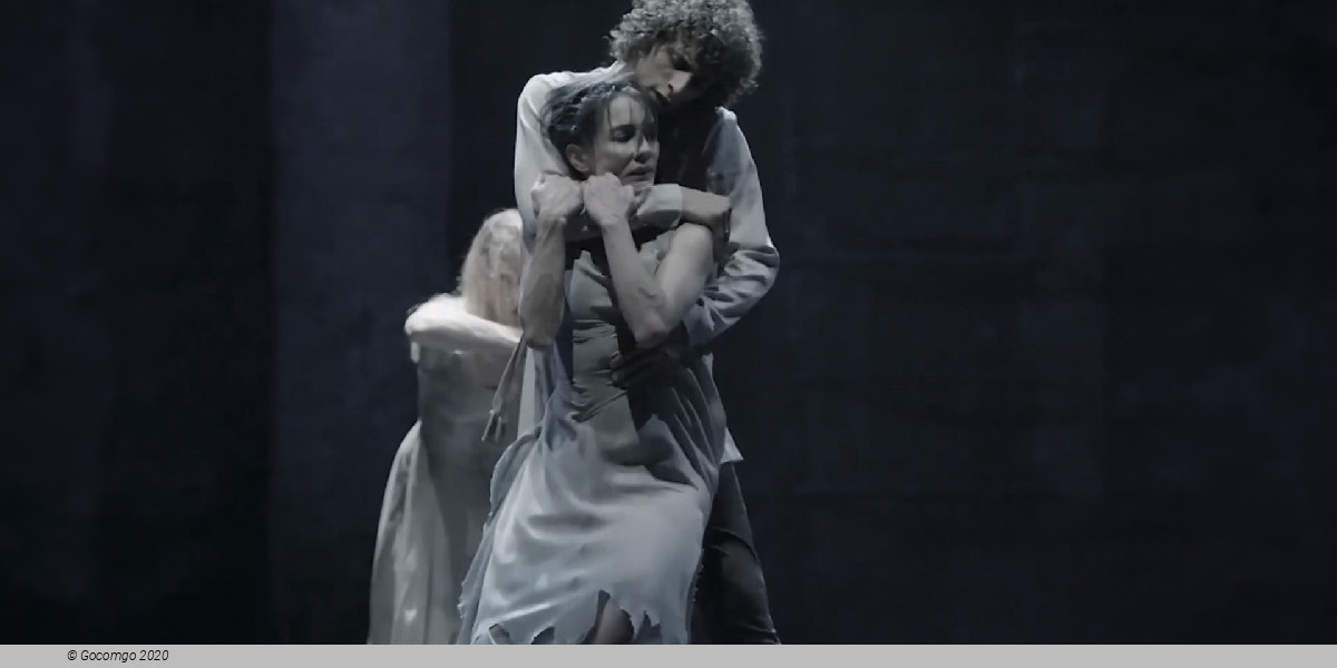 Scene 6 from the modern ballet "Giselle", choreography by Akram Khan, photo 6