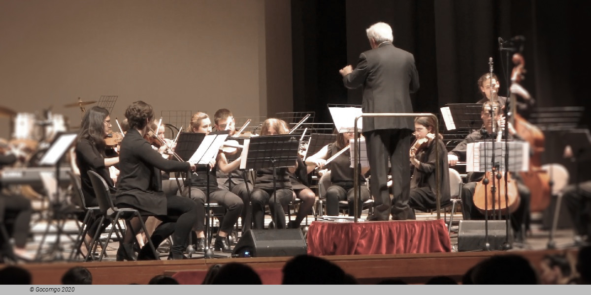 Teatro Diego Fabbri schedule & tickets Teatro Diego Fabbri schedule & tickets