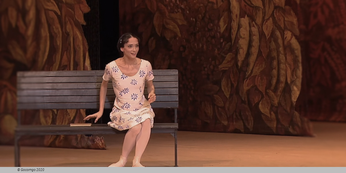 The Bright Stream, photo 4