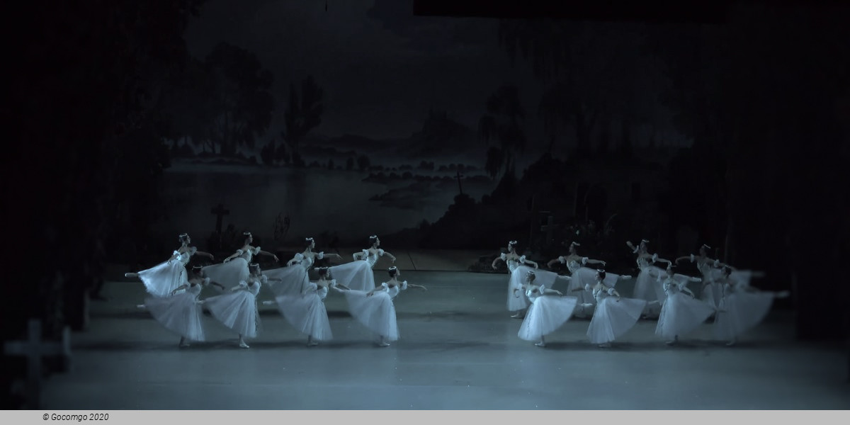 Giselle, photo 3
