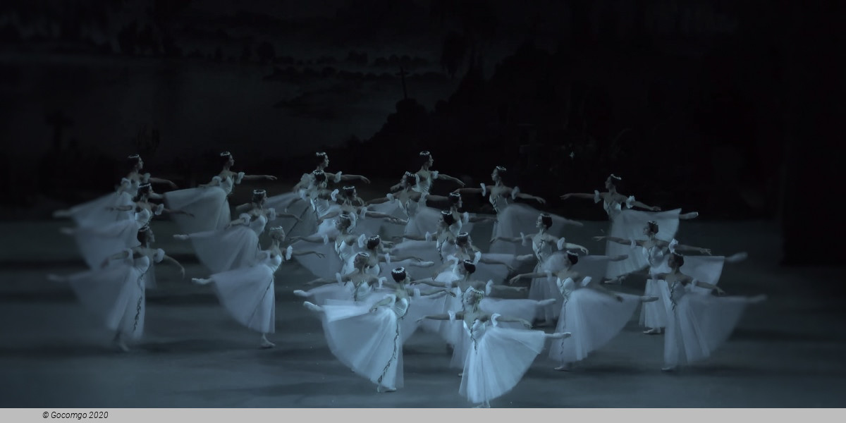 Giselle, photo 4