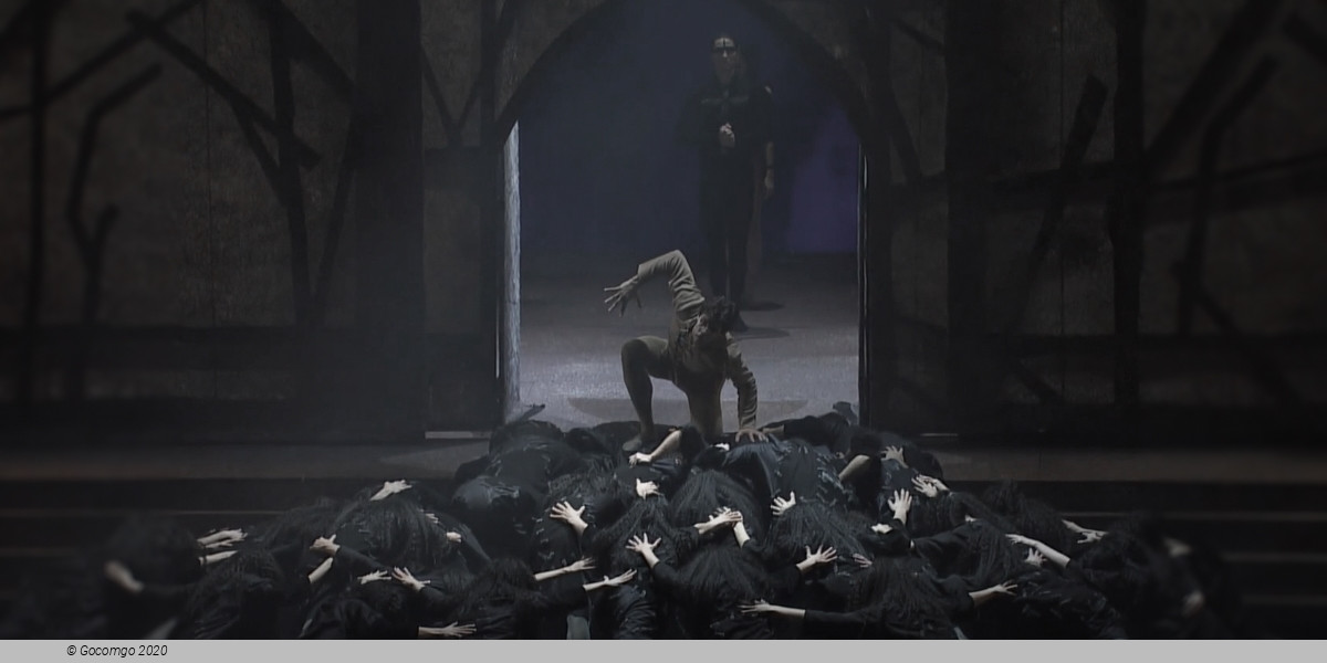 Notre-Dame de Paris, photo 7