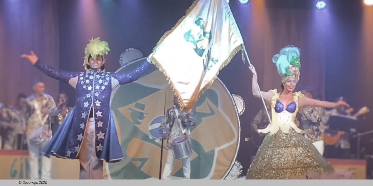 Scene 5 from the show "Ginga Tropical", photo 6