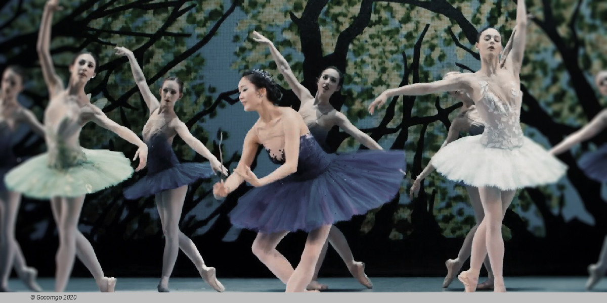 The Royal Danish Ballet