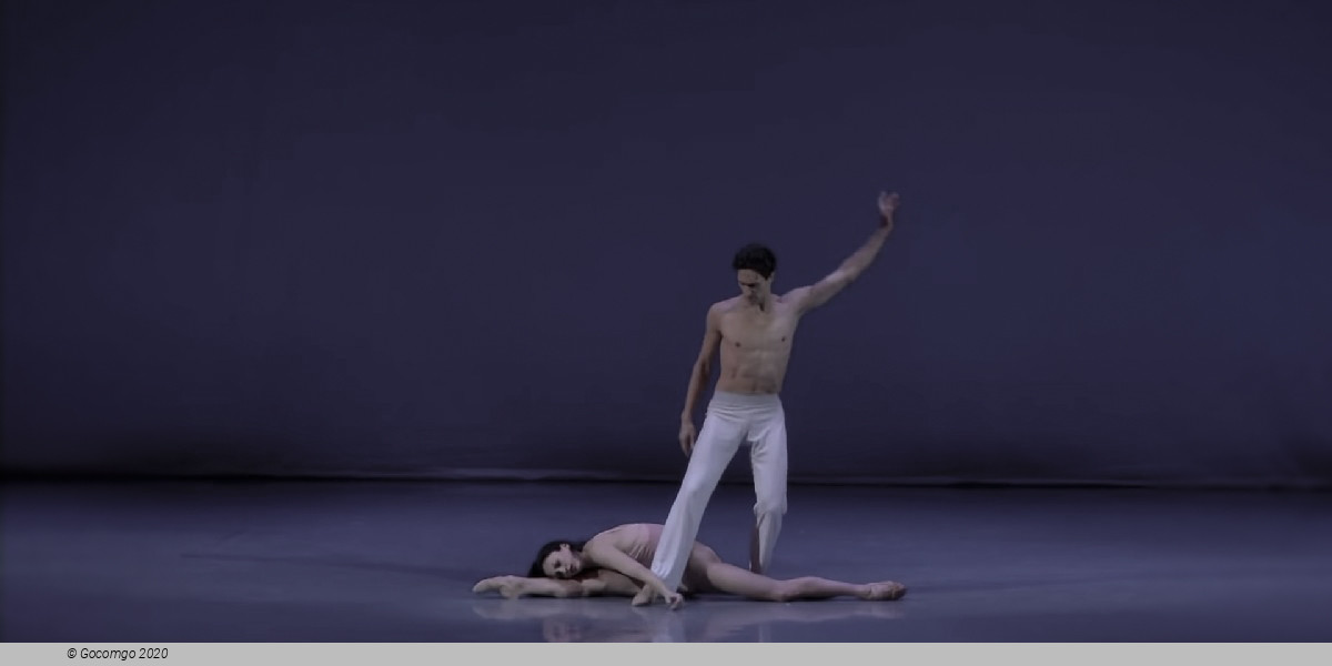 Scene 2 from the modern ballet "After the Rain Pas de deux", photo 8