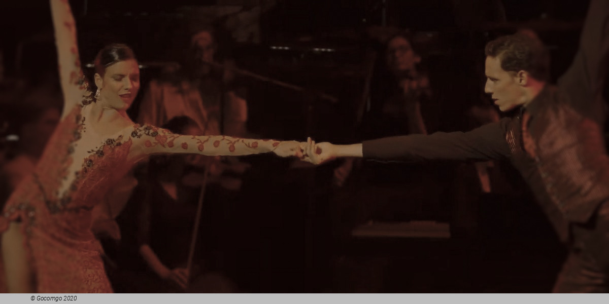 Scene 7 from the ballet "Strictly Gershwin", photo 7