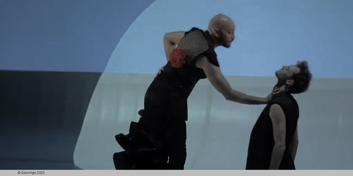 Car/men - Compagnie Chicos Mambo, photo 4