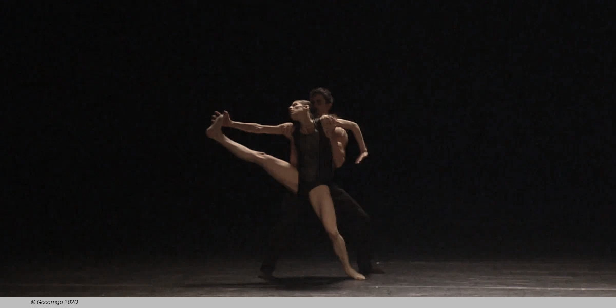 Blink of an Eye, photo 5