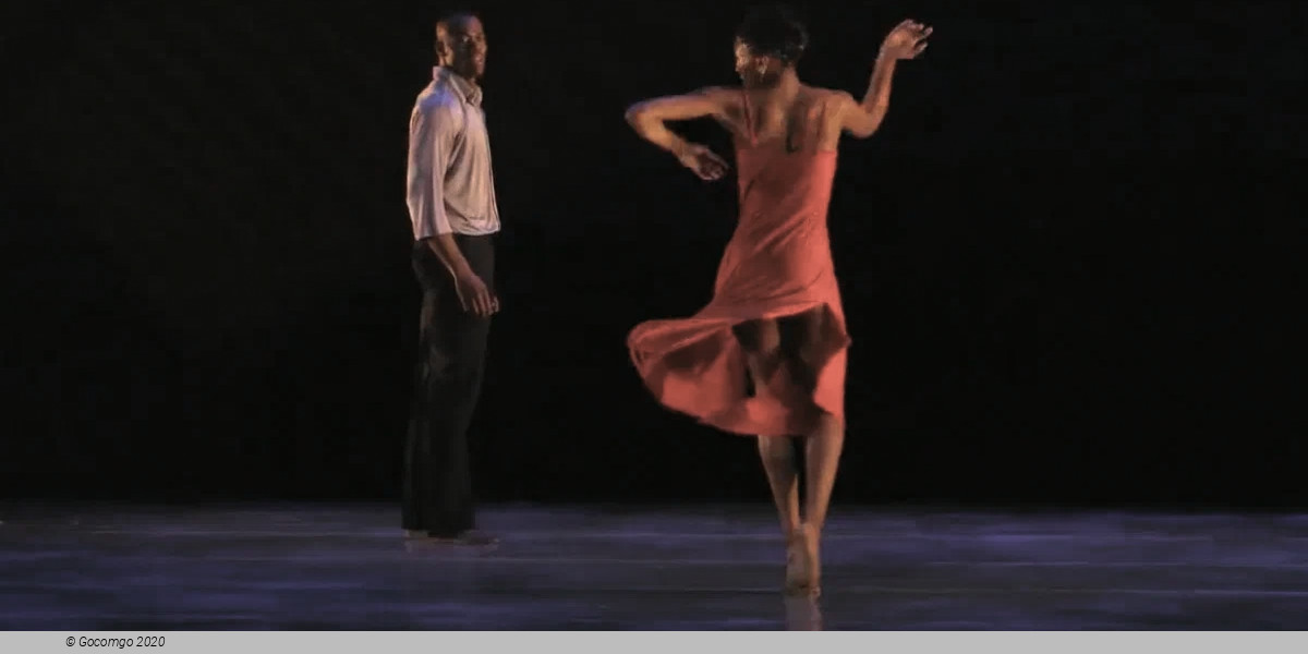 A Case of You, photo 9