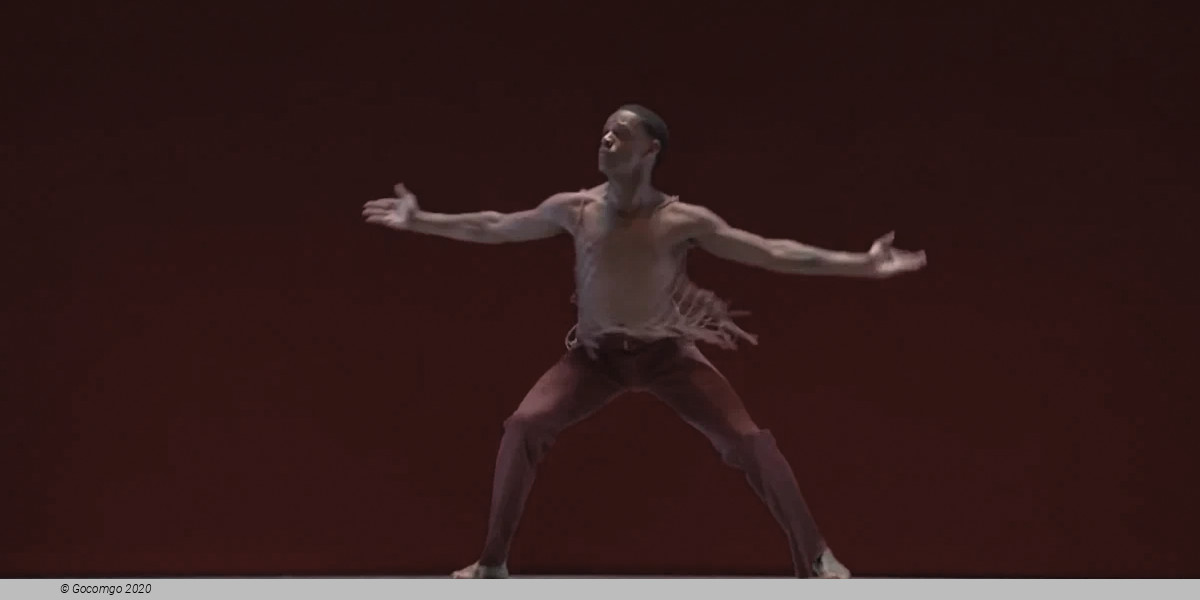 Revelations, photo 5