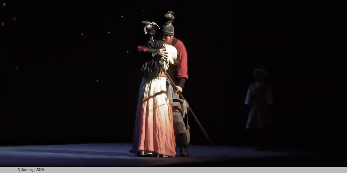 The Romantic Show of Xi'an, photo 6