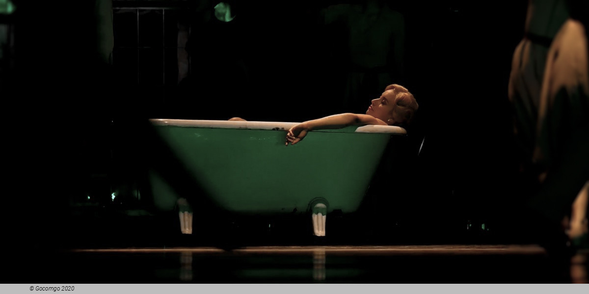 A Streetcar Named Desire, photo 9