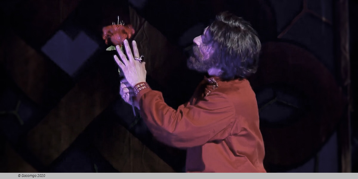 The Scarlet Flower, photo 6