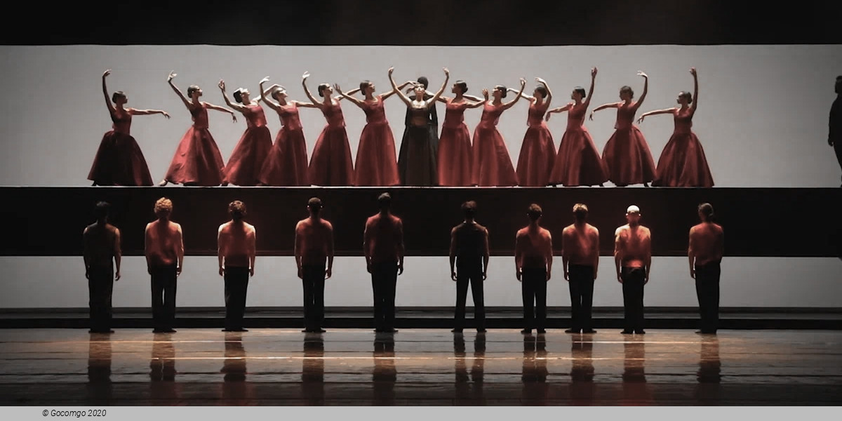 An evening of modern ballets "Background", photo 3