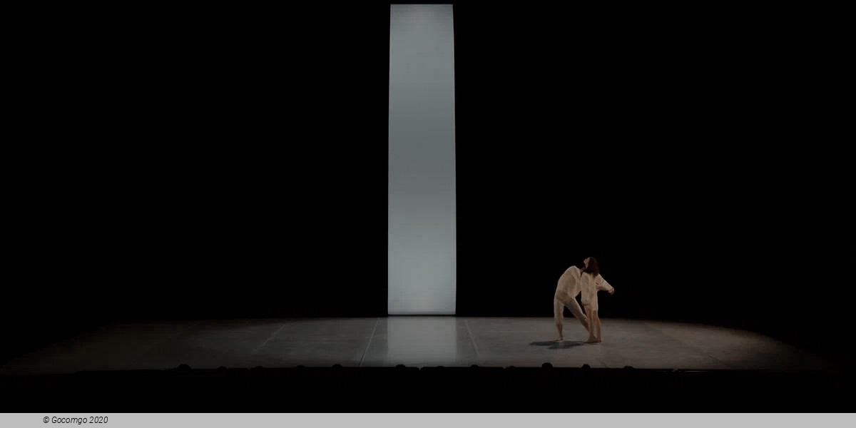 Pas de deux from Le Parc, photo 5