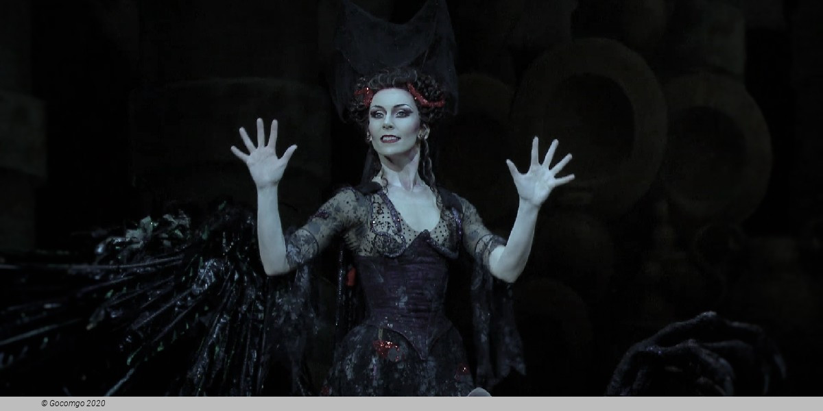 The Sleeping Beauty, photo 5