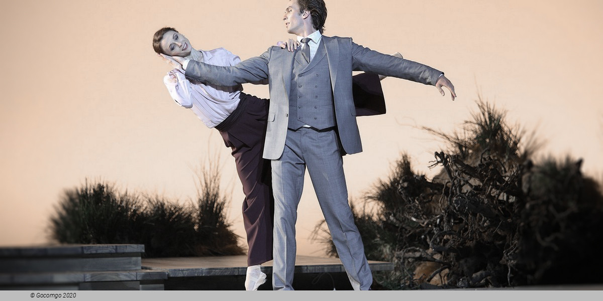 Scene 5 from the ballet "The Seagull", photo 5