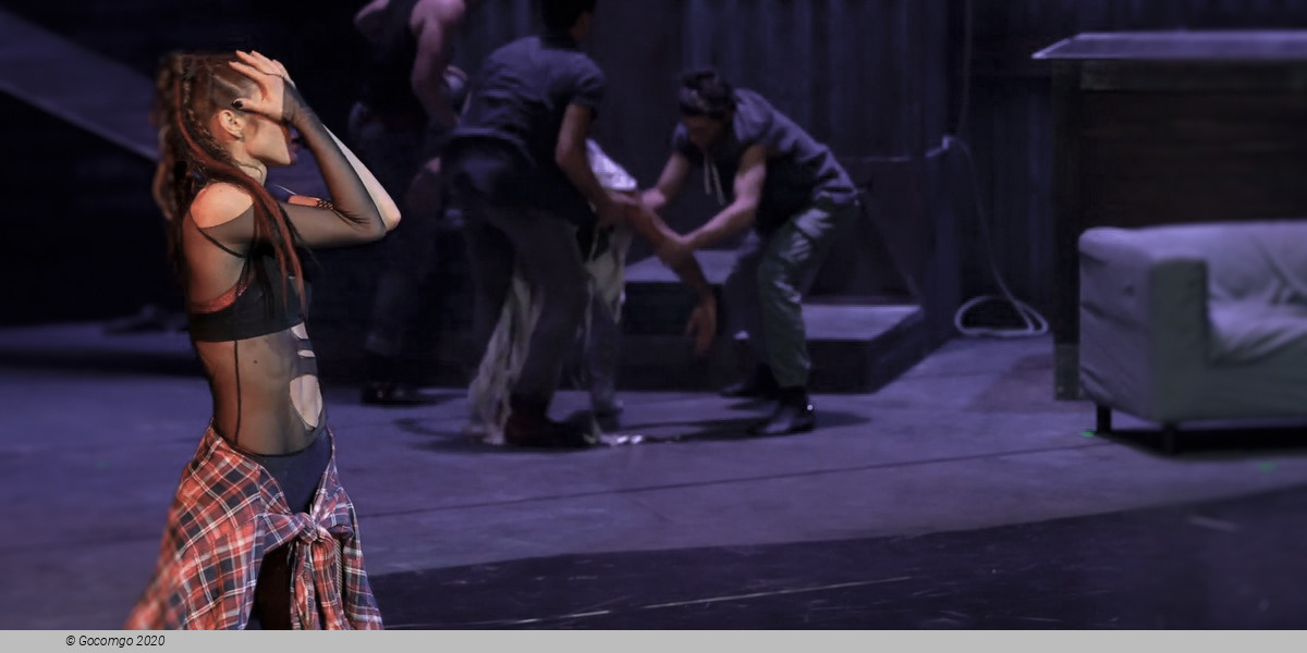 The Miracuolus Mandarin, photo 2