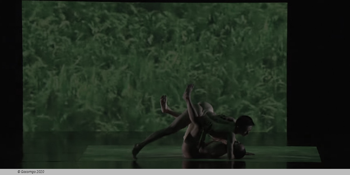 Cloud Gate, photo 18