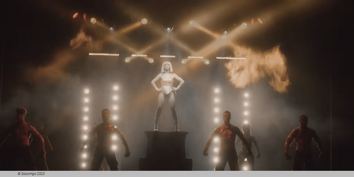 The Bodyguard
