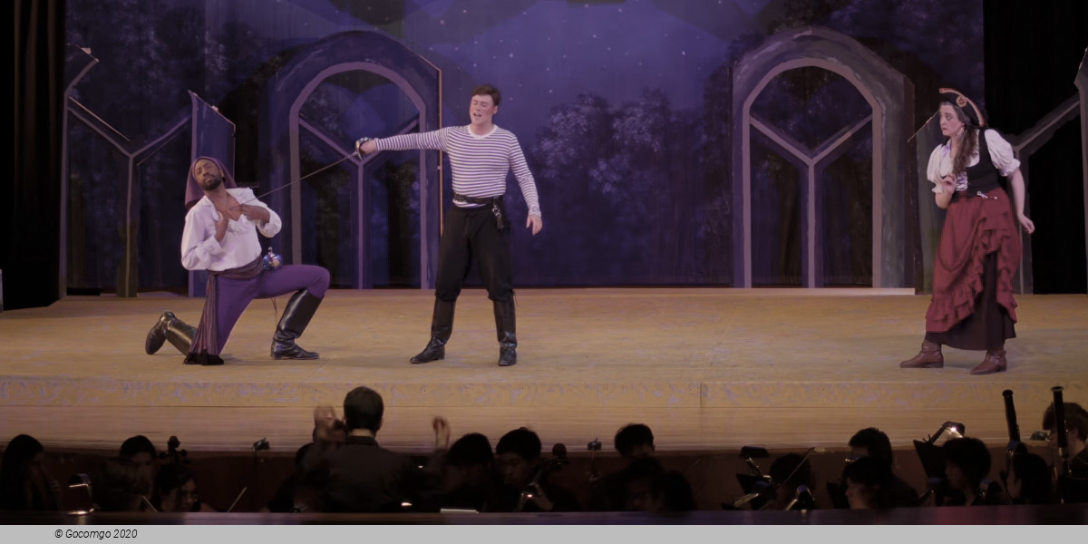The Pirates of Penzance