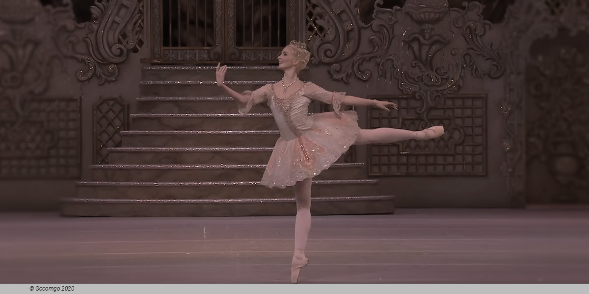 The Nutcracker (main), photo 11