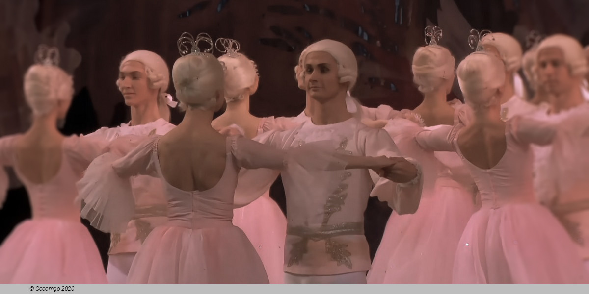 The Nutcracker (main), photo 18