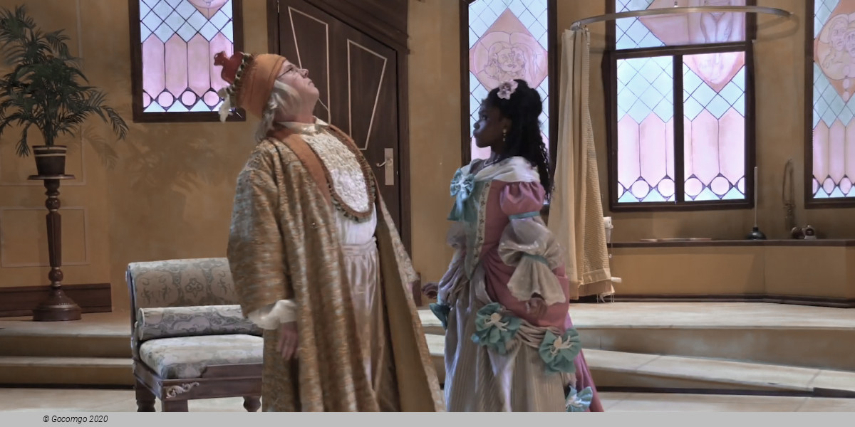 The Imaginary Invalid, photo 5