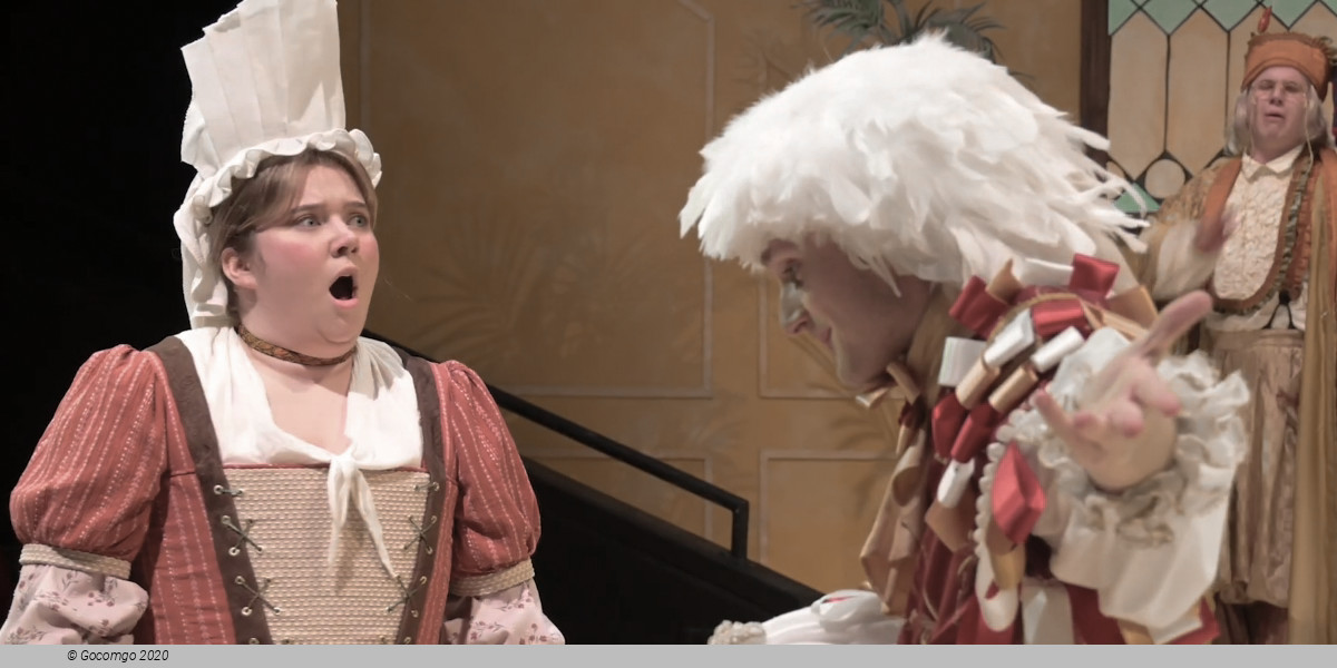 The Imaginary Invalid, photo 1