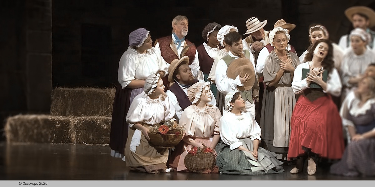 L’elisir d’amore (main), photo 13