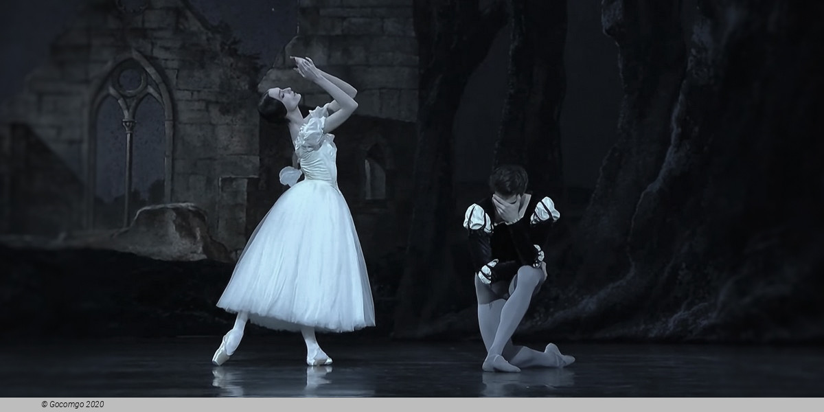 Giselle, photo 12