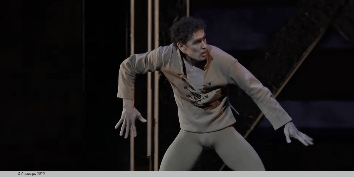 Scene 6 from the ballet "Notre Dame de Paris", photo 6
