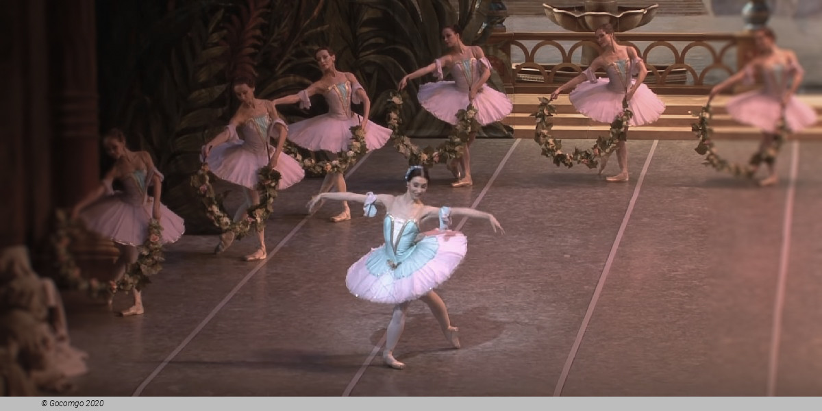 Scene 2 from the ballet "Le Corsaire", photo 6