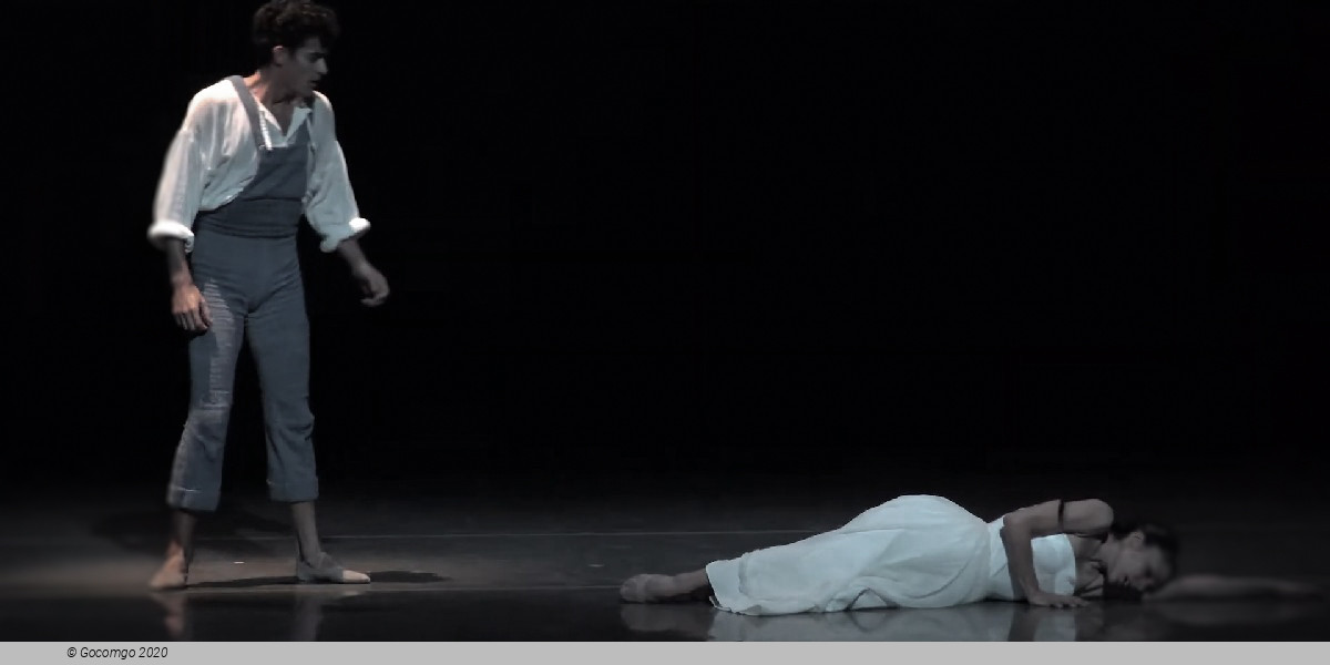 Scene 2 from the ballet "Le Baiser de la fée", photo 11