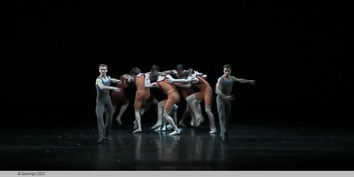 Concerto DSCH, photo 3