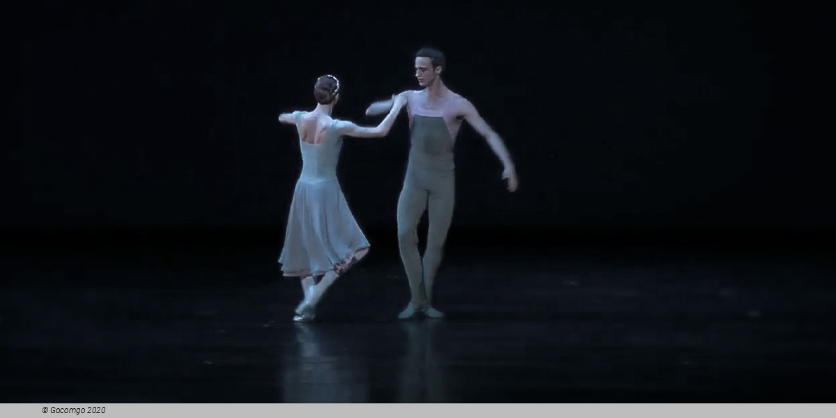 Concerto DSCH, photo 5