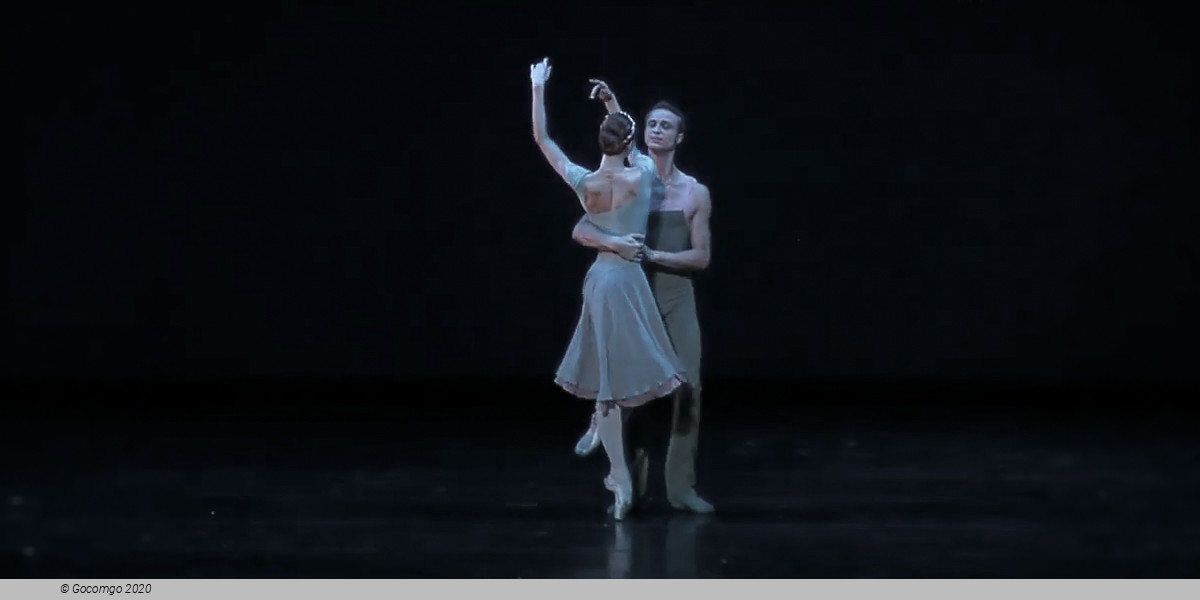 Concerto DSCH, photo 6