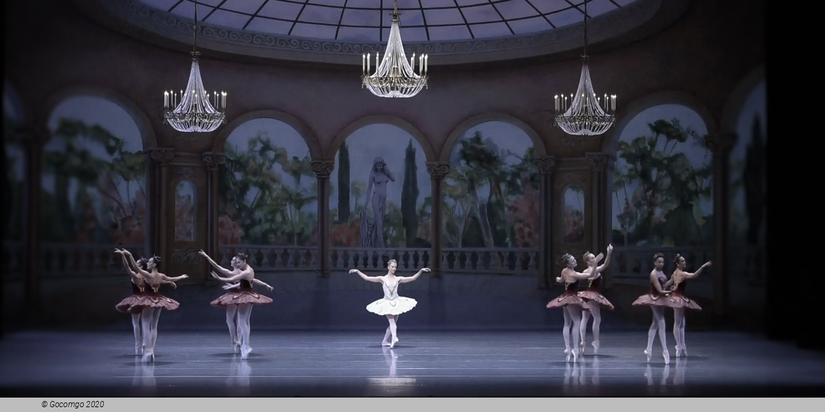 Theme and Variations, photo 4