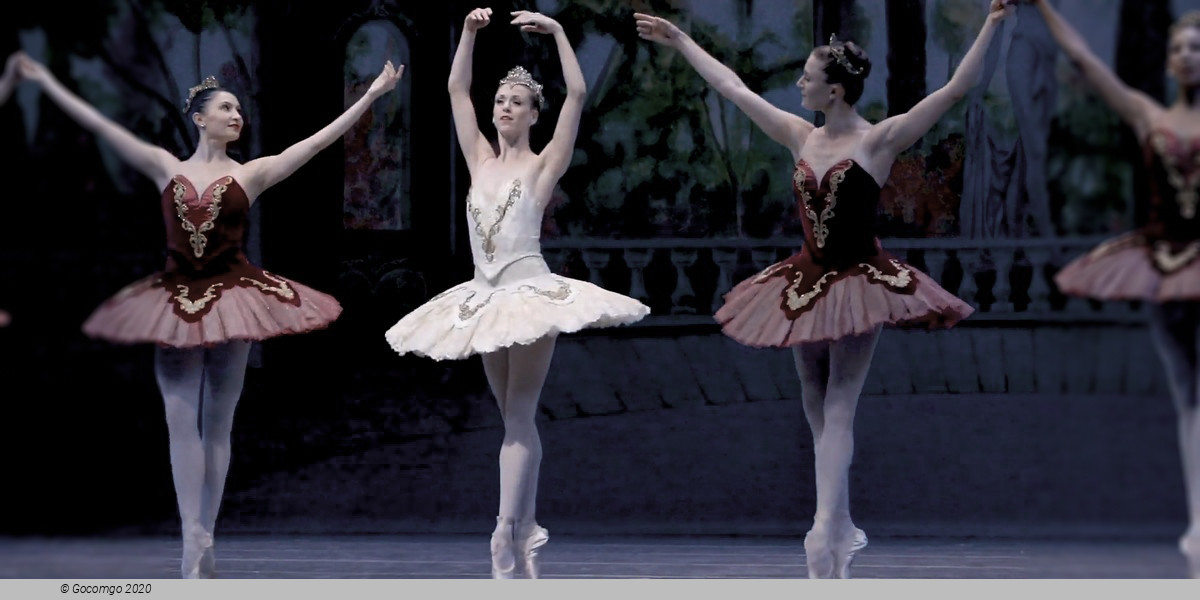 Theme and Variations, photo 5