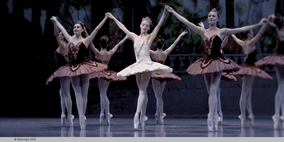 Theme and Variations, photo 6