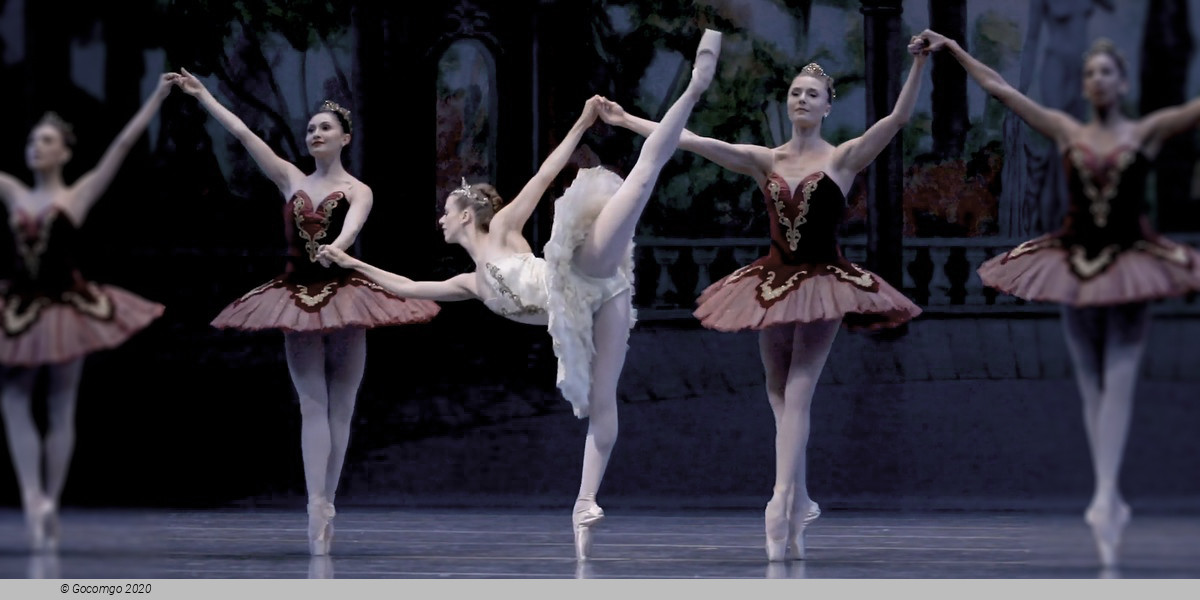 Theme and Variations, photo 7