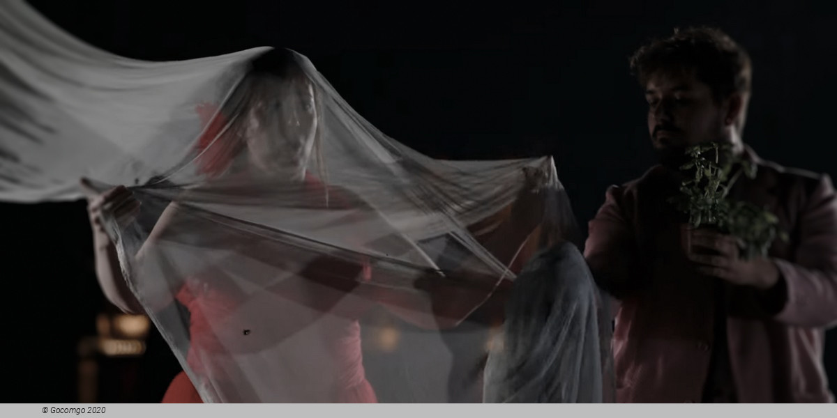 Scene 12 from the opera "A Midsummer Night's Dream", photo 12